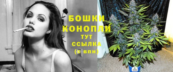 PSILOCYBIN Балахна